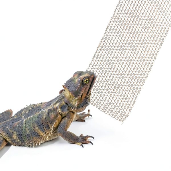 COMSUN Foldable Reptile Hammock for Bearded Dragons-5