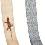 COMSUN Foldable Reptile Hammock for Bearded Dragons-0