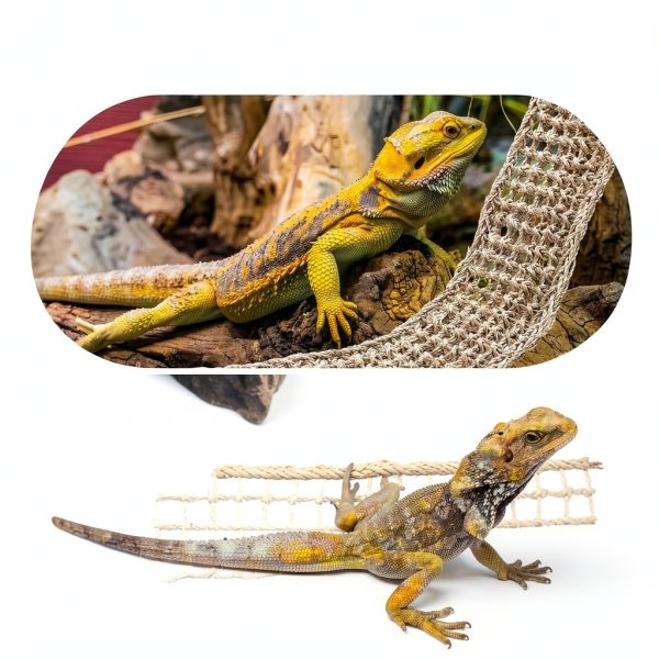 Silkfly Bearded Dragon Hammock Woven Reptile Climbing-5