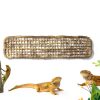 Silkfly Bearded Dragon Hammock Woven Reptile Climbing-1